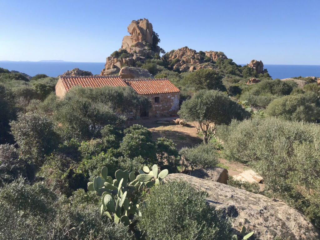 Steinhaus zwischen Olivenbäumen und Granitfelsen mit Blick auf das Meer an der Westküste Sardiniens.