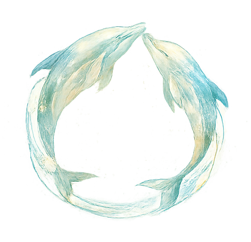 Kreis aus zwei Delfinen als Symbol für Integration und ganzheitliche Entwicklung